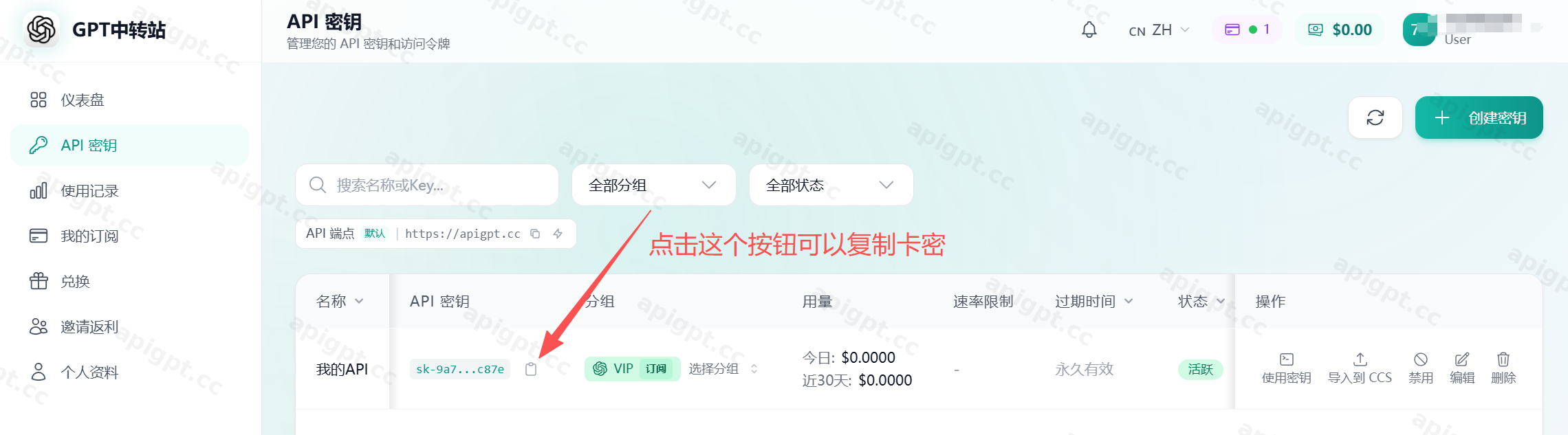 复制并保存 API 密钥