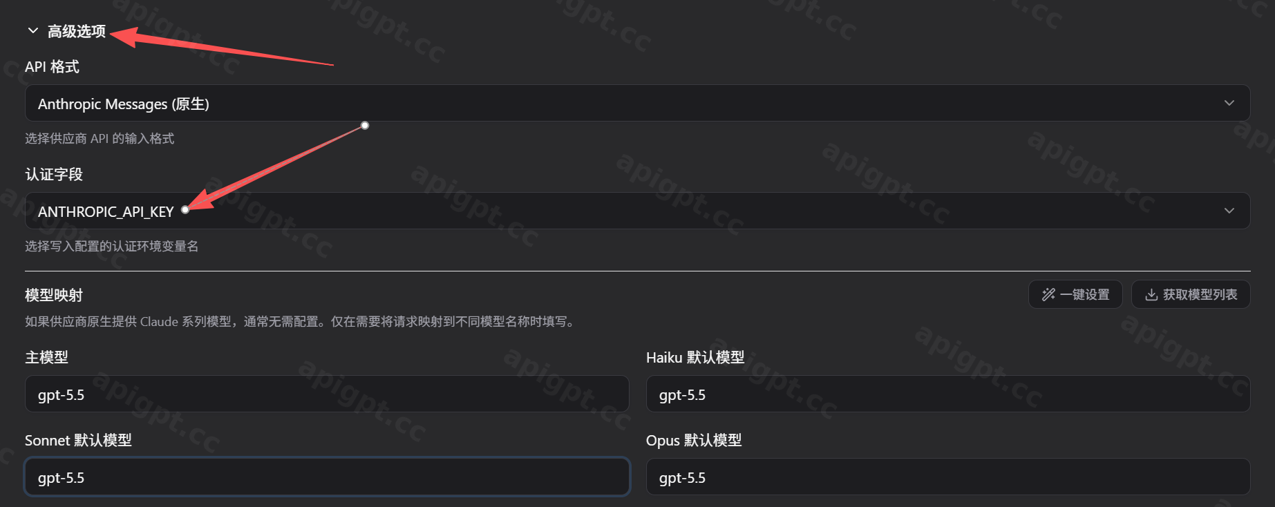 填写高级选项